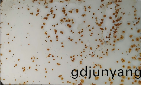 漆膜(mo)點蝕缺(que)陷 漆膜點蝕(shi)缺(que)陷(xian)